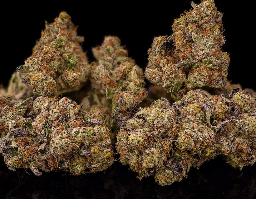 BBflower 0007 Pink Animal Mints Dry Nugs